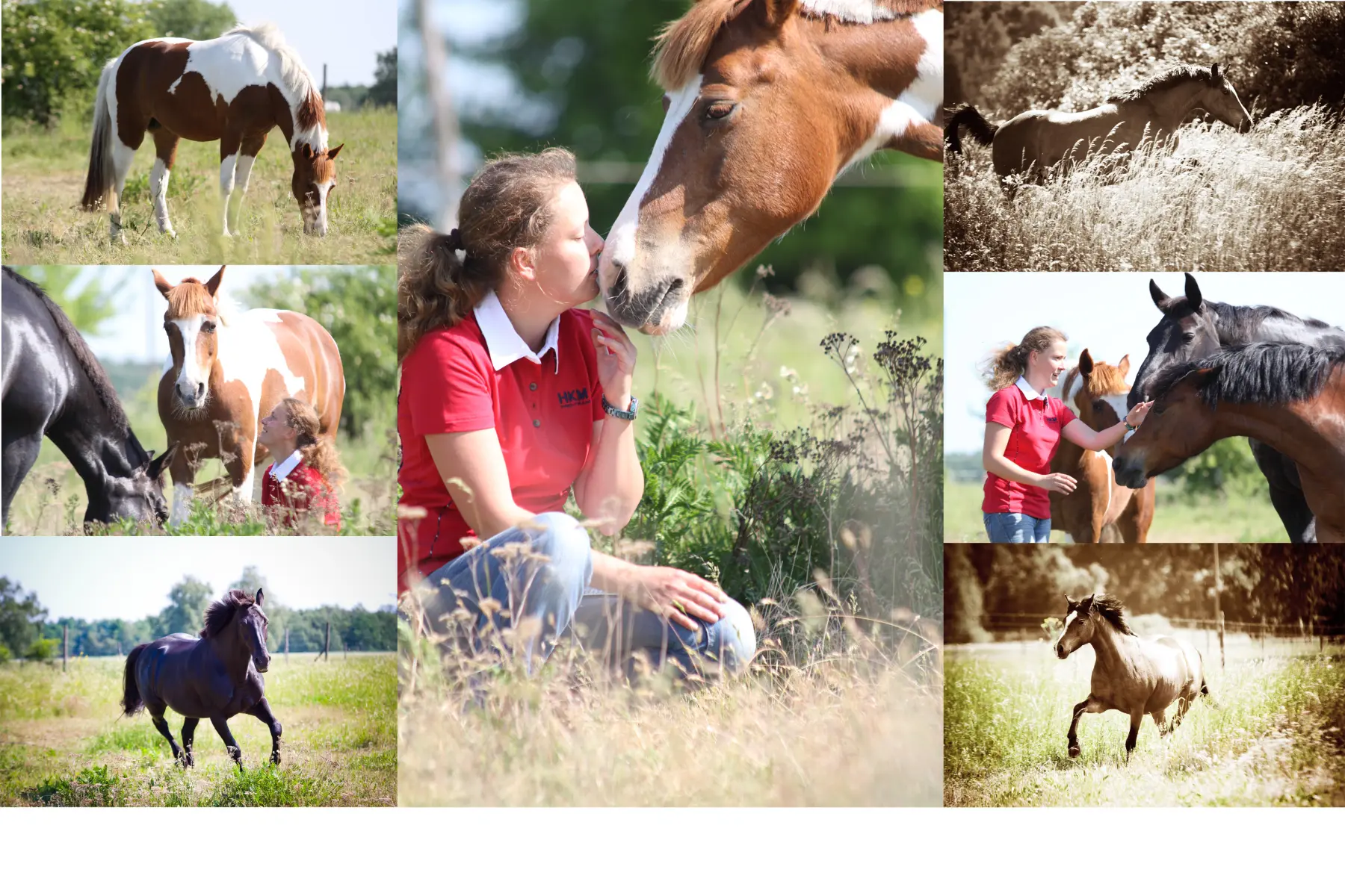 Tierfotografie von Ina Wildfuhr